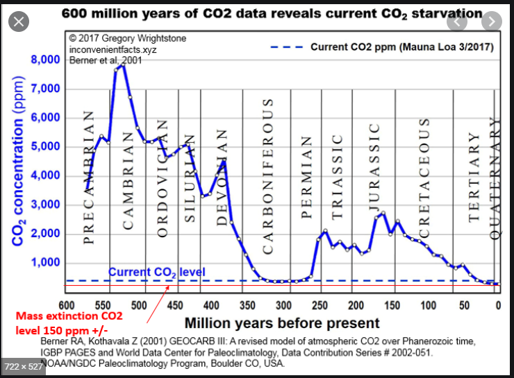 600 million years of carbon sequestration