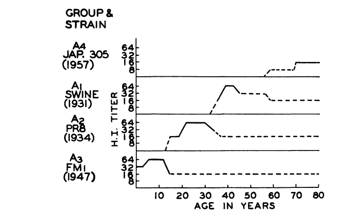 antigenic sin