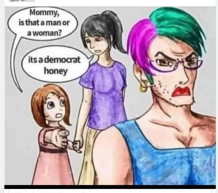 Democrat in drag