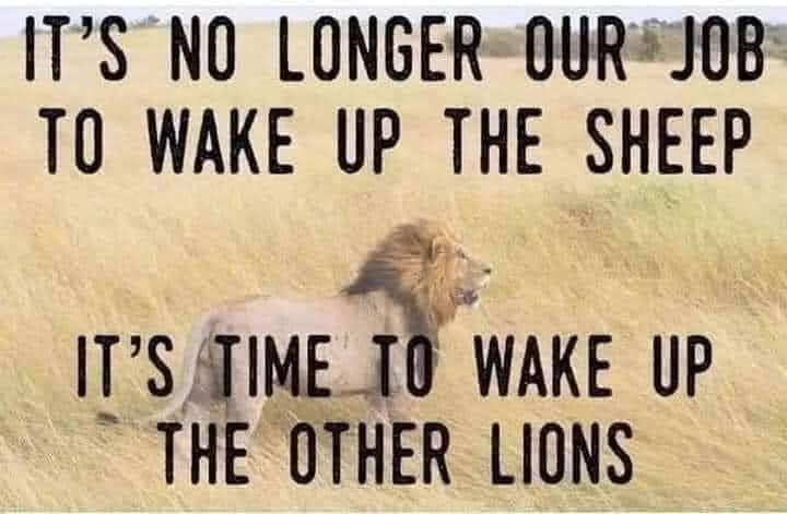 wake up the other lions