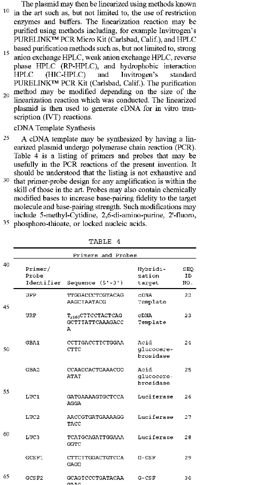 Luciferase